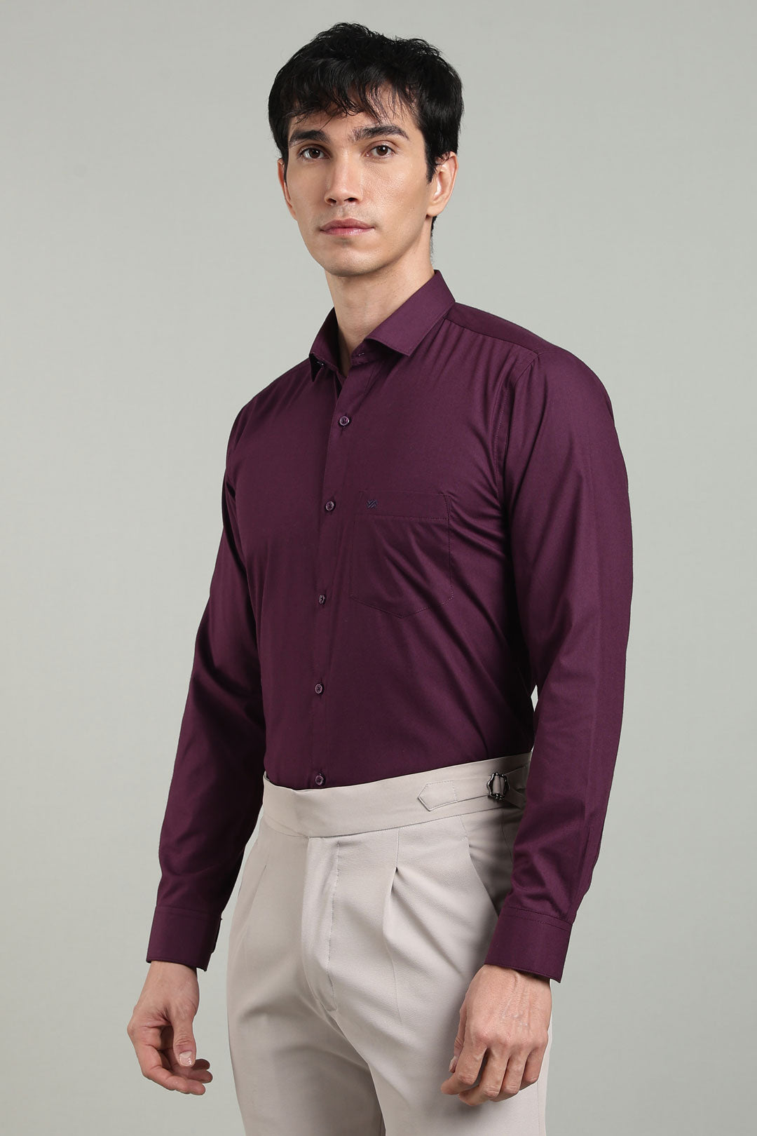 Wine Formal Plain Regular Fit Shirt