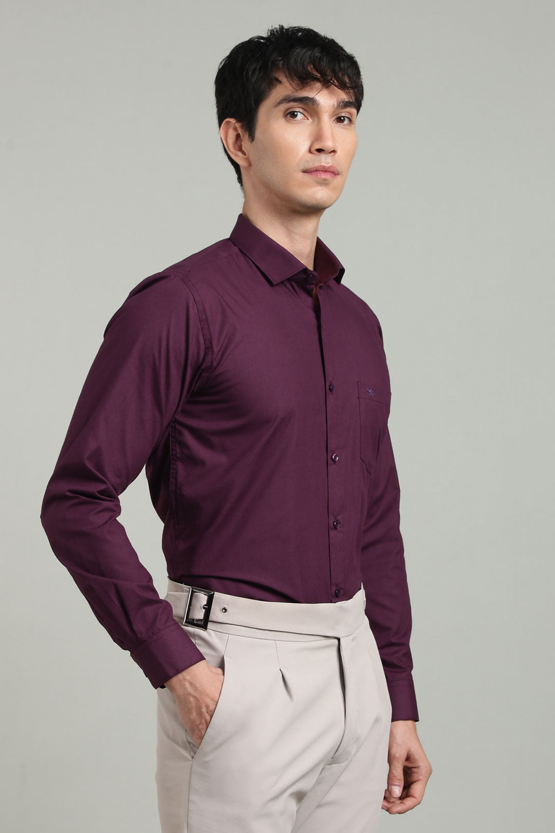 Wine Formal Plain Regular Fit Shirt