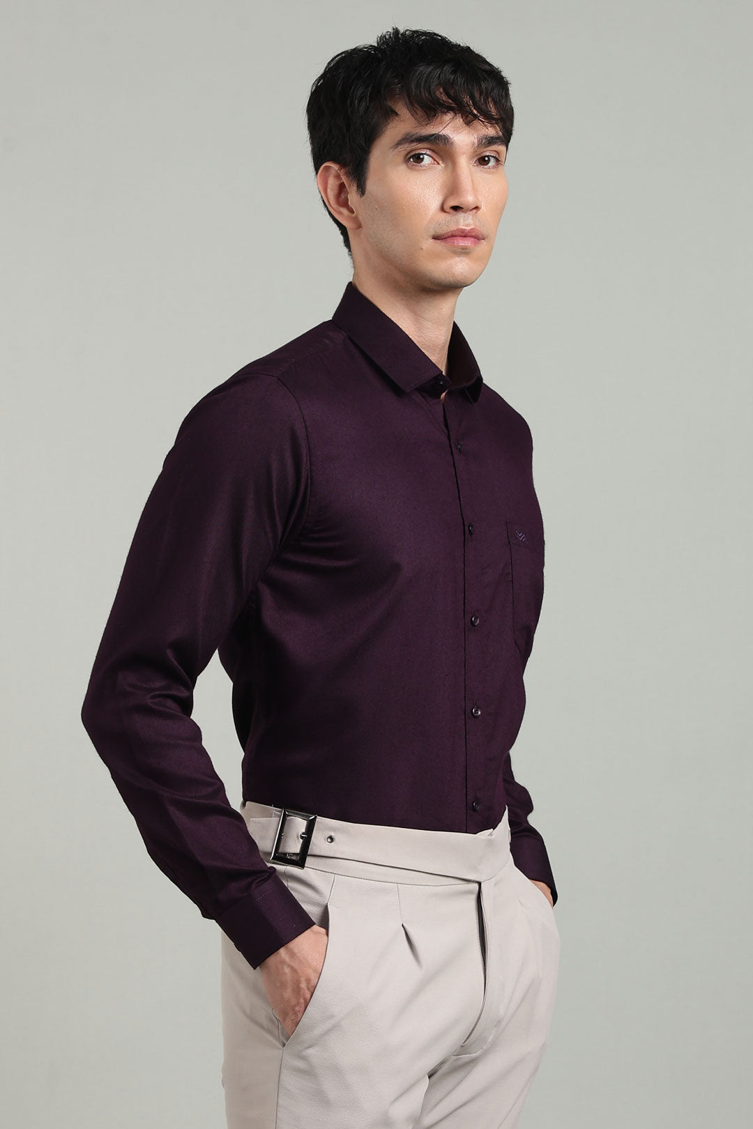 Purple Formal Plain Regular Fit Shirt